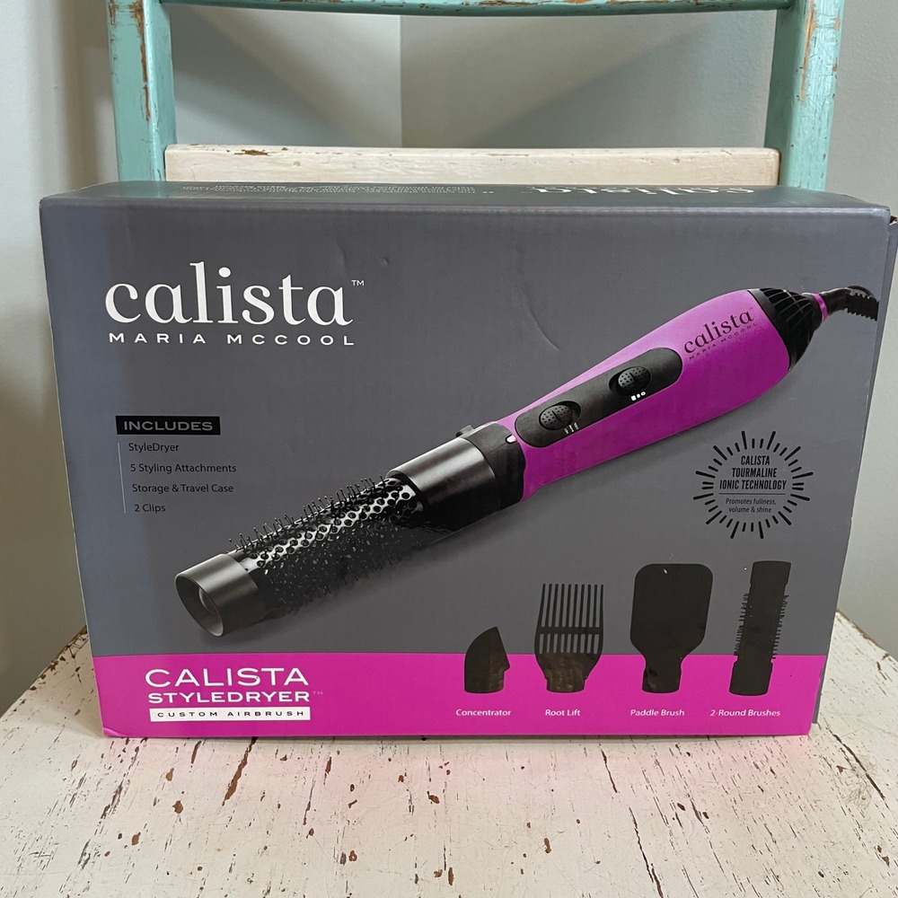 Calista Maria McCool StyleDryer Custom Airbrush Purple 5 Attachments & Case